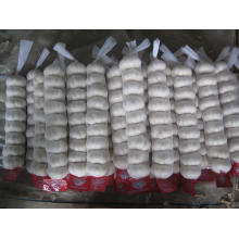 Small Mesh Bag Packing Pure White Garlic